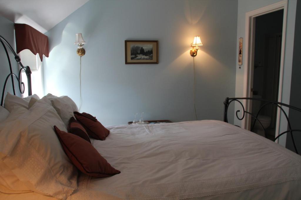 Tulips And Thistle B&B Truro Rum bild